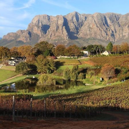 Alluvia Boutique Winery & Luxury Accommodation สเตลเลนบอช ภายนอก รูปภาพ The Paarl Mountain Range