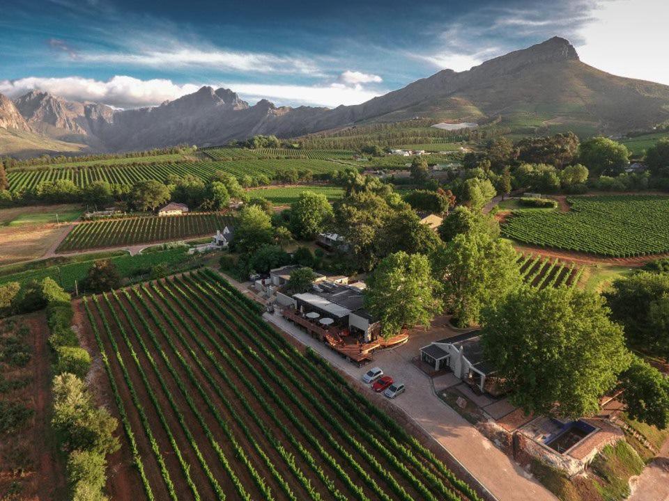 Alluvia Boutique Winery & Luxury Accommodation สเตลเลนบอช ภายนอก รูปภาพ Aerial view of the winery