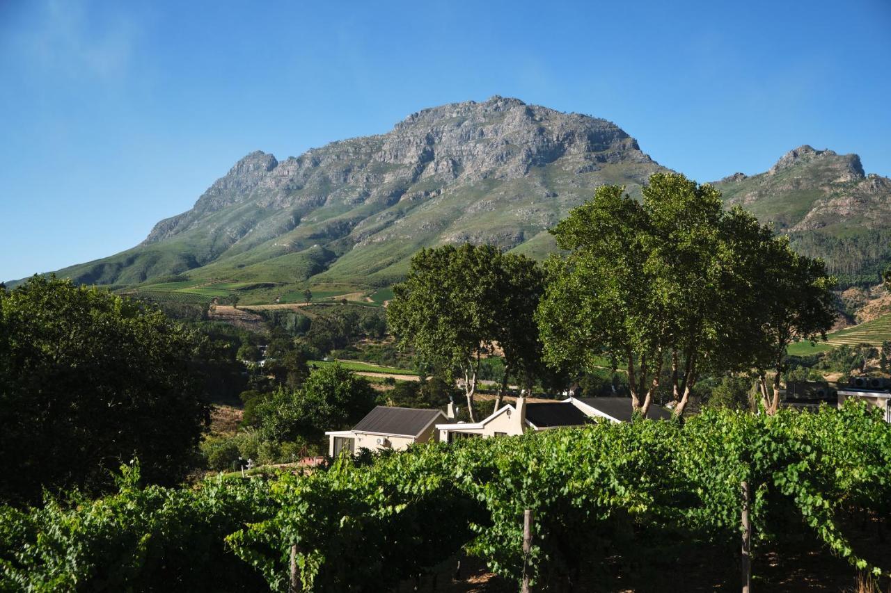 Alluvia Boutique Winery & Luxury Accommodation สเตลเลนบอช ภายนอก รูปภาพ Wine estate in Stellenbosch