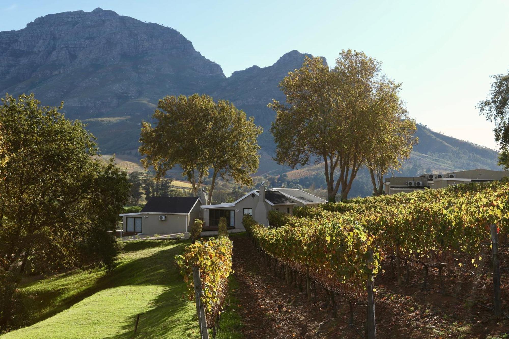 Alluvia Boutique Winery & Luxury Accommodation สเตลเลนบอช ห้อง รูปภาพ Wine estate in Stellenbosch